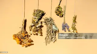 广州仔的按摩日记：这次，我竟然爱上了这种“痛”！