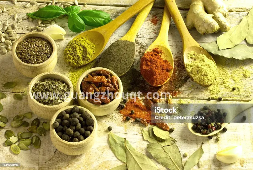 现代桑拿房内部