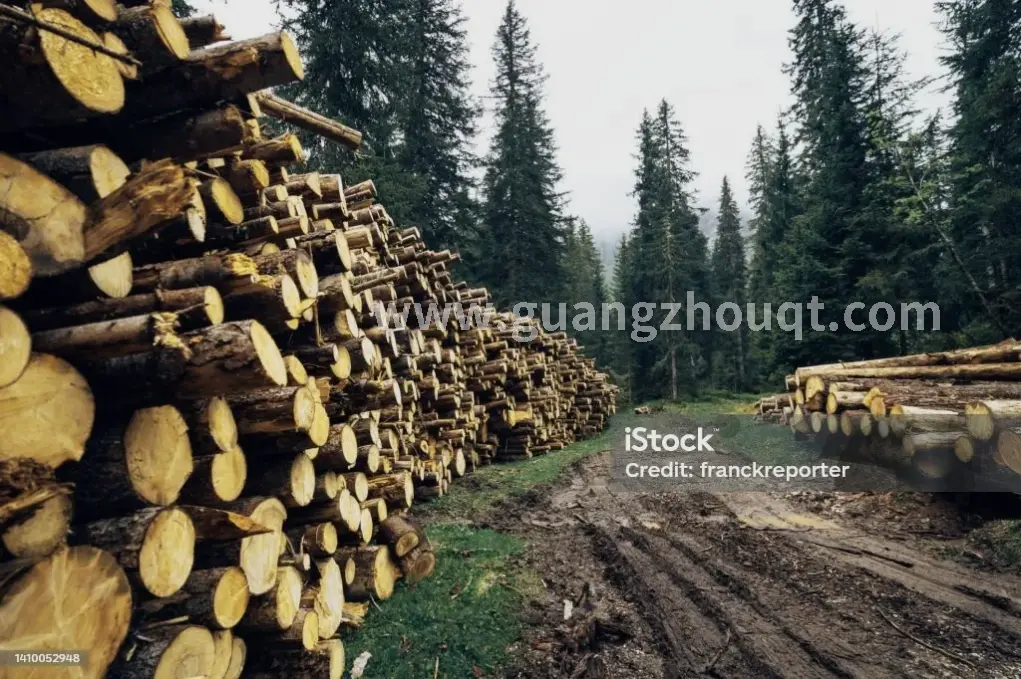 广州按摩行业规范